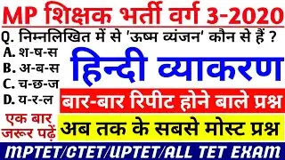 Varg 3 Hindi | samvida varg 3 online classes | hindi pedagogy | varg 3 | mptet grade 3 | hindi | sam