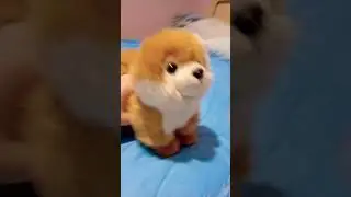 глупий шпиц 9 серия 