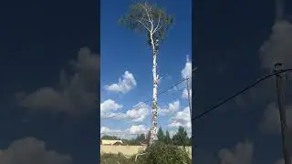 10 августа 2024 г.