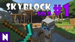 Journey to the Deep Caverns - Hypixel Skyblock solo 1