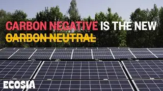 “Carbon neutral” is not enough: Ecosia has built its own solar plants