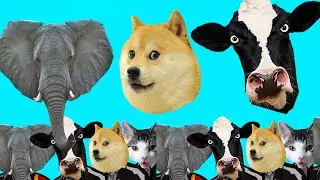 Super COW VIDEOS Megamix  - Meme Coffin Dance COVER