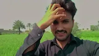 11th vlog { Hamari Fasaal or Solar system ] Solar plants se pani kaise lagaya jata hey village vlog