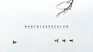 Speculum Banyoles - El ensayo sobre paisaje de Tino Soriano