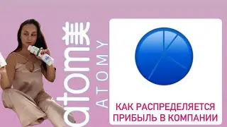 Распределение финансов в компании АТОМИ?
