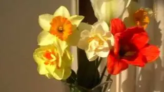 Для фото в Ю.Т.