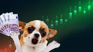 Diese 3 Aktien kaufe ich JETZT im Oktober 2023! 📈🐶💸