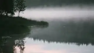 Белая ночь. White Night