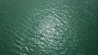PANTAI KUALA RAJA - BIREUEN HEBOH dengan PENAMPAKAN BUAYA RAKSASA - PART 1