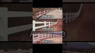 Alkane, Alkene, Alkyne..... 😂 #education #chemistry #youtube #chemistryfun