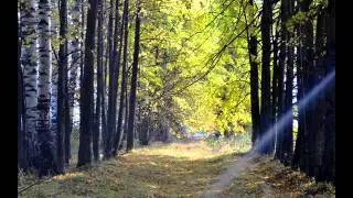 Моя родина - Марий Эл (часть 2)