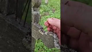 РУКАМИ НЕ БЕРИТЕ ЭТО ПОРЧА