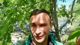 З бджолами Все...!