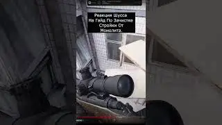 Shuss's reaction to the Stalker Gamma Guide 