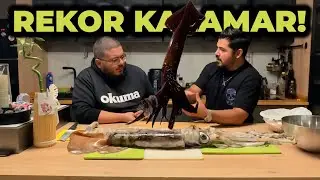 Rekor kalamar yakaladık! Dev Kalamar nasıl ayıklanır? Giant Squid Cleaning