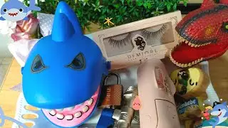 Shark Bites And Attacks Tyrex, Dino, Mini Fan, Water Faucet, Candies, Locker, Cake, Eyelash, Flower.