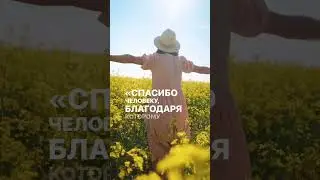 Практика трех благодарностей