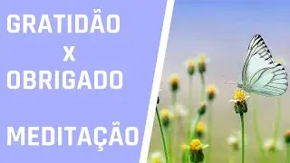 GRATIDÃO x OBRIGADO MEDITAÇÃO