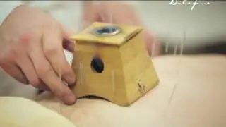 Чжан Цзыцян в программе 