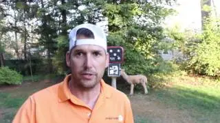 Traditional Archery form Makeover 3