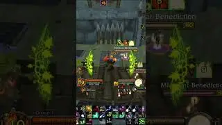 Perfect Synergy Boomkin Ele 2v2 