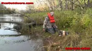 Hammering Raccoons with Z Traps