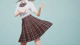 Stop Asking Me to Skirt Flick!