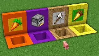 what will the pig choose ?