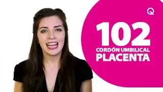 SabésQ: Donar médula ósea
