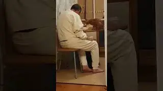 ❤️Кот Артём❤️                                            