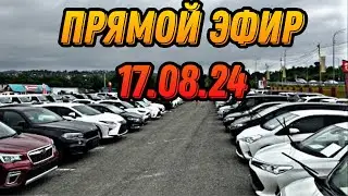 ПРЯМОЙ ЭФИР 17.08.24 #подборавтомобиля #automobile #автоэксперт #обзор
