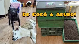 How to turn your dog's poop into organic fertilizer 🌿🐶 (odorless!)