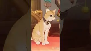 КИЛОМЕТРЫ КОШКИ 