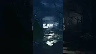 Thriller Crime Logo Reveal  - Studious31 
