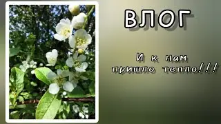 ВЛОГ. Пришло тепло, тружусь на огороде.
