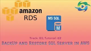 How to do BackUp and Restore Operation in SQL Server in AWS | WinAndApp
