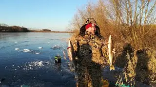 Флаги на щуку. Отчёт с зимней рыбалки. рыбалка с друзьями.