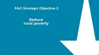 FAO Strategic Objective 3