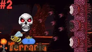 #2. Прохождение Terraria на пк