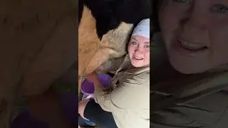 ДОИМ БЕРТУ РУКАМИ 