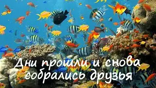 Дни прошли и снова собрались друзья - старые Христианские песни