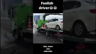 foolish driver