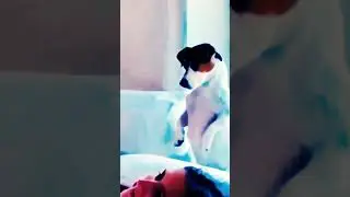 hô hấp nhân tạo đặc biệt 