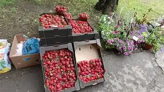 Харцызск, воскресенье,эвакуированные из Артёмовска