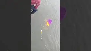 बाप्पांचे विसर्जन