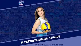 14 результативных блоков в исполнении Татьяны Дмитриевой