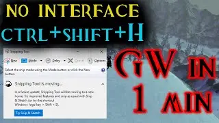Guild Wars in 1 minute - No interface & Snipping Tool #Shorts