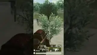 Honey Badging | #shorts #CynideOne #CynideOnePUBGMShorts #pubgmobile #pubgm #pubgmwarrior #gatka