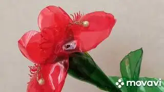 Как из одной пластиковой бутылки сделать Аленький цветочек!🌹#ростовыецветы#