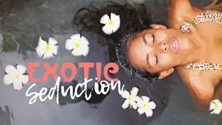 Exotic Seduction: Oriental Chillout Lounge for a Night of Love and Tantric Massages